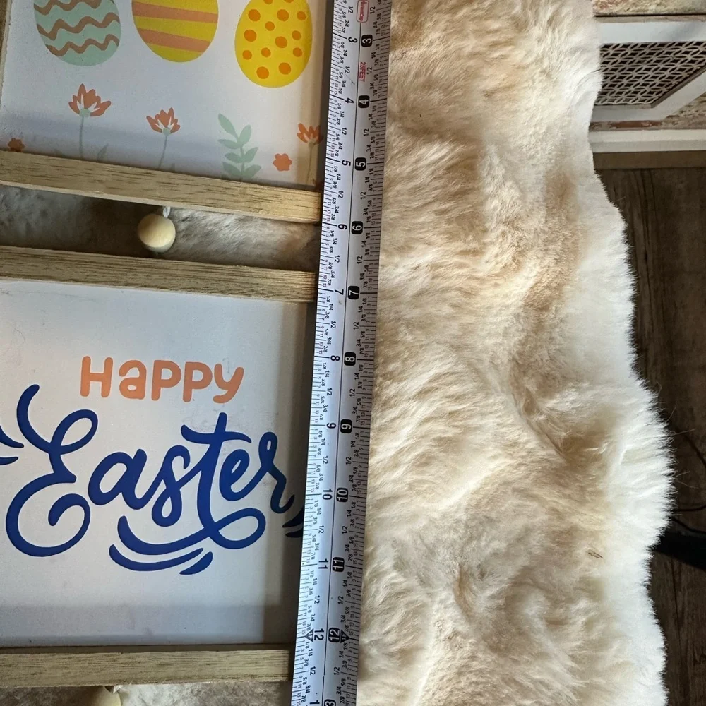 Easter Carrot Banner Pillow and Hanging Signs - White and Orange